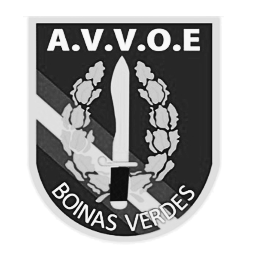 A.V.V.O.E GANDIA
