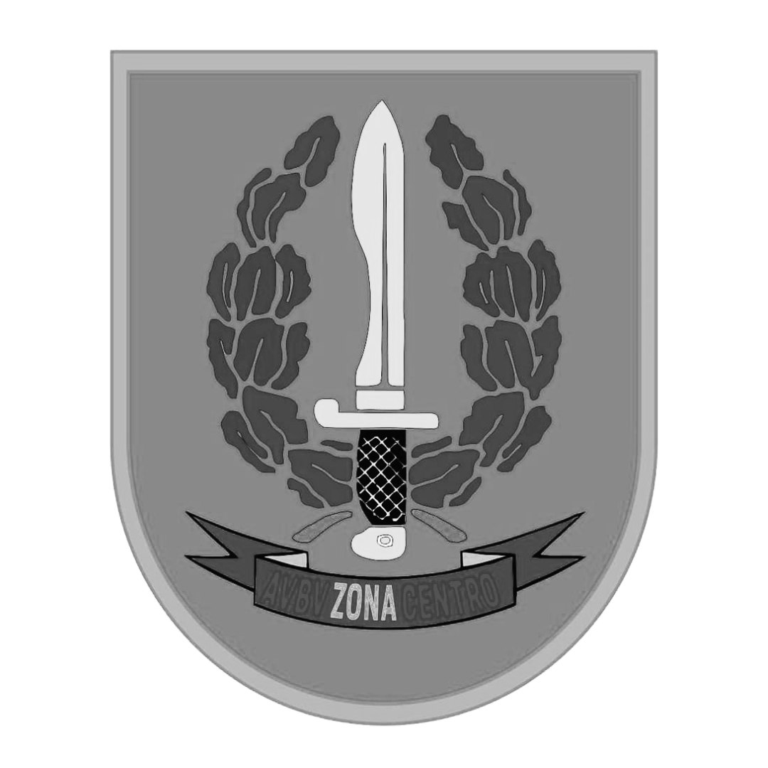 AVBV ZONA CENTRO