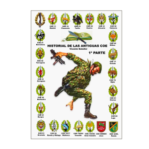 HISTORIAL DE LAS COE 1ª PARTE